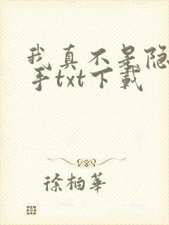 我真不是隐世高手txt下载