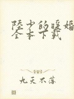 陆少的暖婚新妻全本下载