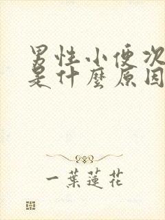 男性小便次数多是什么原因