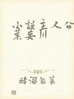 小说主人公乔念叶妄川