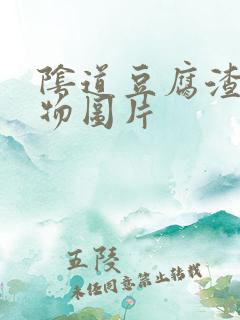 阴道豆腐渣分泌物图片