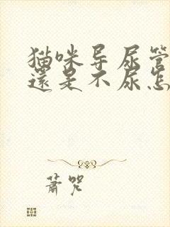 猫咪导尿管拆了还是不尿怎么办