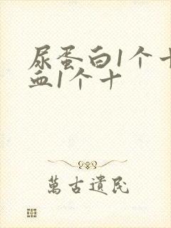 尿蛋白1个十隐血1个十