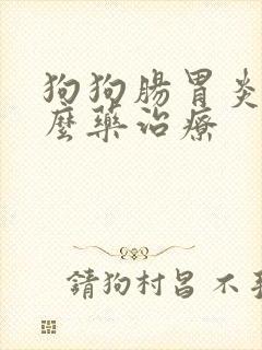 狗狗肠胃炎用什么药治疗