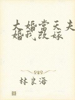 大婚当天夫君逃婚我改嫁