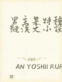 男主是特种兵的糙汉文小说