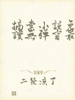 摘棠小说免费阅读无弹窗最新章节