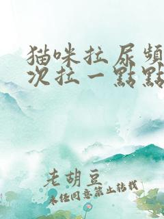 猫咪拉尿频繁每次拉一点点