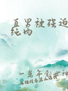 直男被强迫高h纯肉