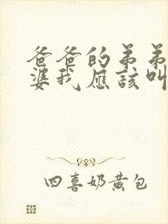 爸爸的弟弟的老婆我应该叫什么