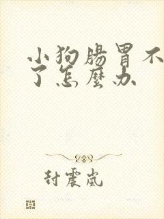 小狗肠胃不好吐了怎么办