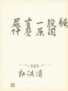 尿有一股骚臭味什么原因