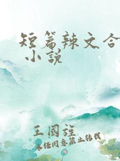 短篇辣文合集. 小说