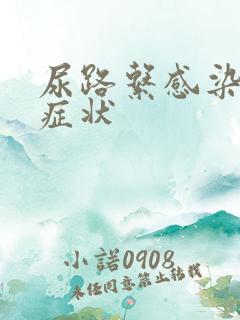 尿路系感染疾病症状