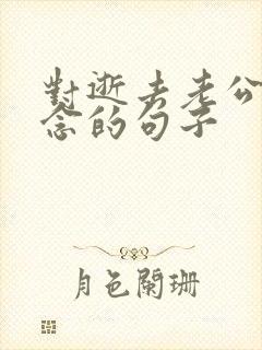 对逝去老公的思念的句子