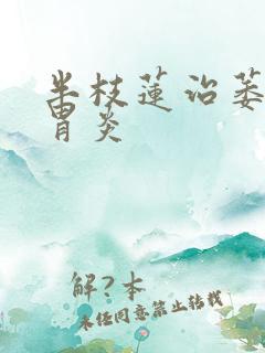 半枝莲治萎缩性胃炎