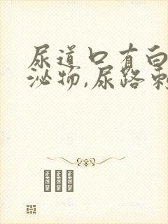 尿道口有白色分泌物,尿路刺痛