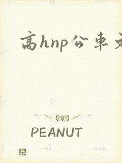 高hnp公车文