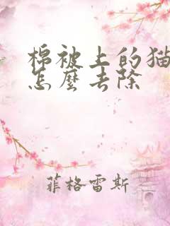 棉被上的猫尿味怎么去除