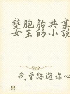 双胞胎共享一个女主的小说