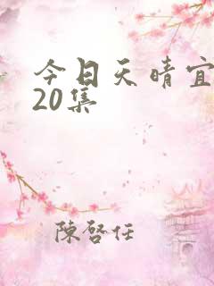 今日天晴宜爱你20集