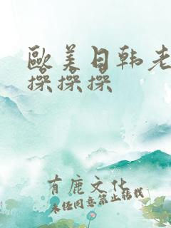 欧美日韩老熟妇操操操