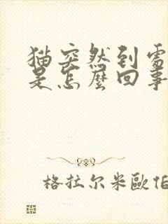 猫突然到处乱尿是怎么回事