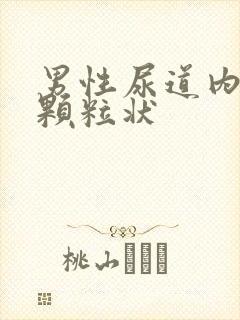 男性尿道内白色颗粒状