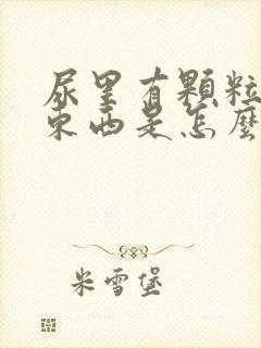 尿里有颗粒状的东西是怎么回事