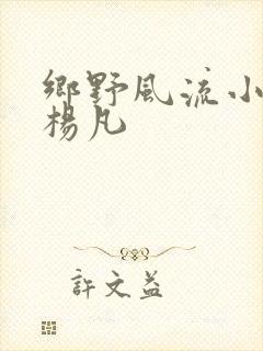 乡野风流小神医杨凡