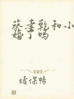 蔡孝乾和小姨结婚了吗