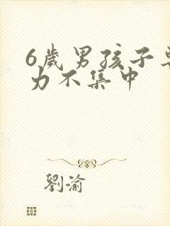 6岁男孩子专注力不集中