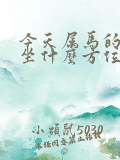 今天属马的打牌坐什么方位