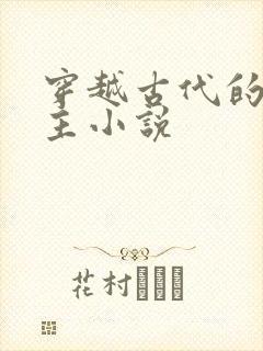 穿越古代的双男主小说