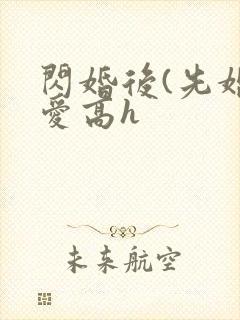 闪婚后(先婚后爱高h