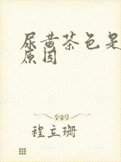 尿黄茶色是什么原因