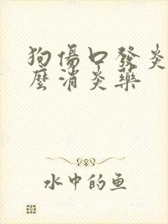 狗伤口发炎吃什么消炎药