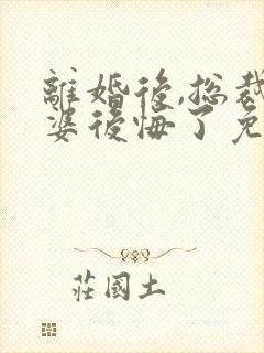 离婚后,总裁老婆后悔了免费观看