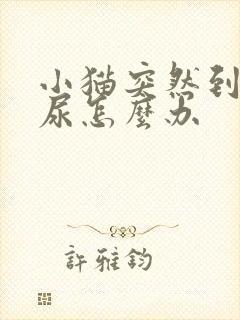 小猫突然到处乱尿怎么办