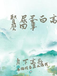 肾尿蛋白高是怎么回事