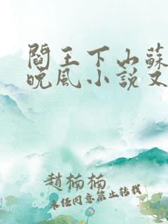 阎王下山苏文陆晚风小说又名