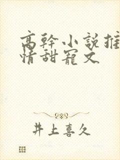 高干小说推荐言情甜宠文