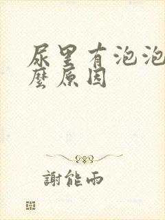 尿里有泡泡是什么原因