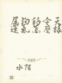 属狗的今天打牌运气怎么样