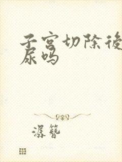 子宫切除后会漏尿吗