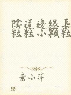 阴道边缘长了一粒粒小颗粒