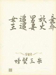 女追男放弃后男主追妻火葬场小说