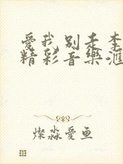 爱我别走李向哲精彩音乐汇