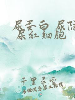 尿蛋白 尿隐血 尿红细胞