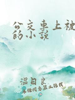 公交车上被人操的小说